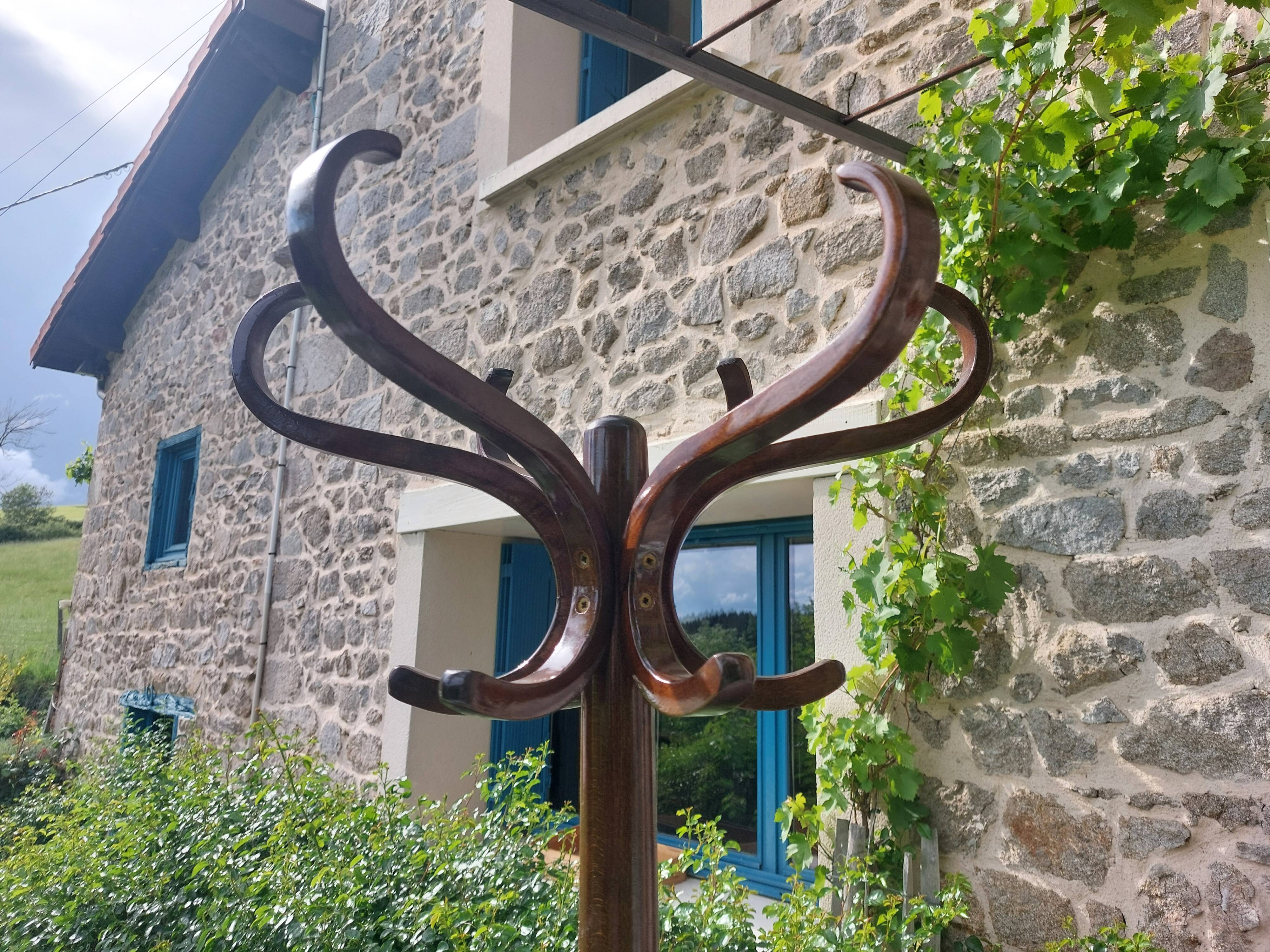 dark-coloured wooden coat rack parrot