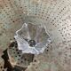 Crystal bowl in the shape of flowers, vintage Orrefors Sweden design