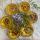 Set of 6 dessert plates in Sarreguemines majolica.