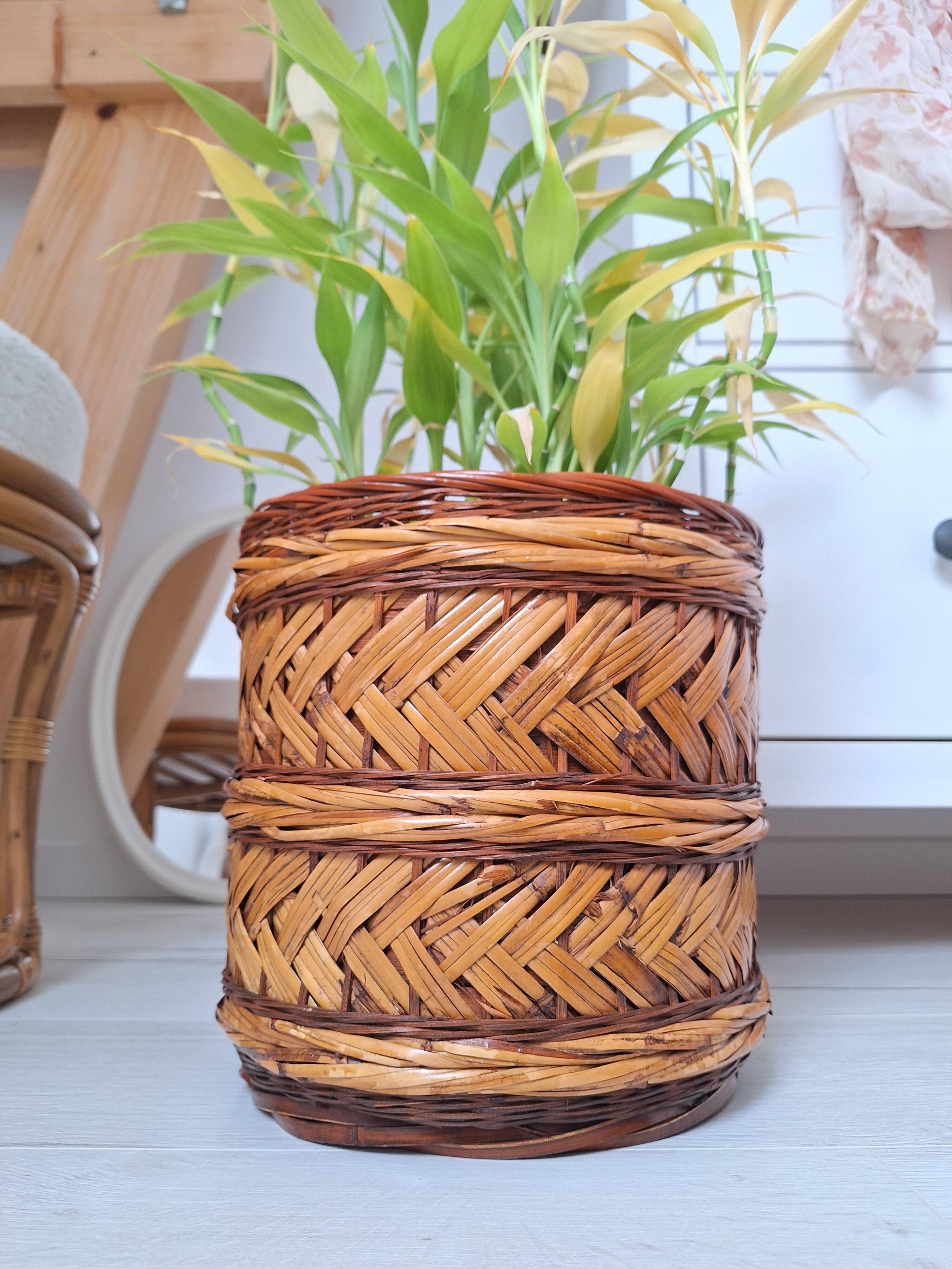 Wicker plant pot
