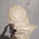 Voltaire bust in plaster 60cm th mid 20th century