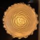Paire de lampes de table en bois et en verre de style mid-century