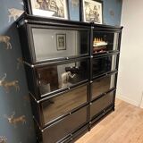 Black Globe Wernicke Bookcase