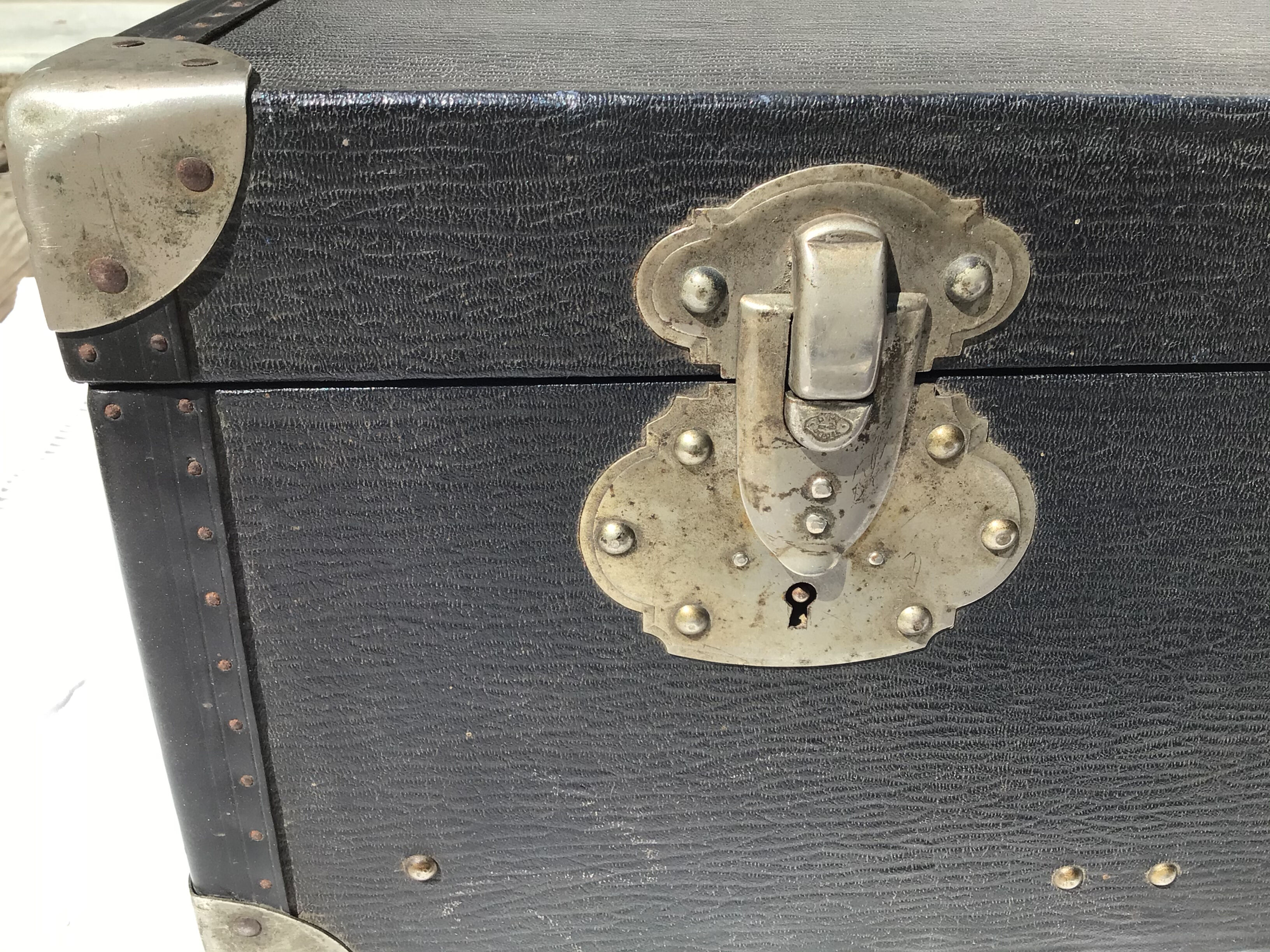 XXL wood trunk case