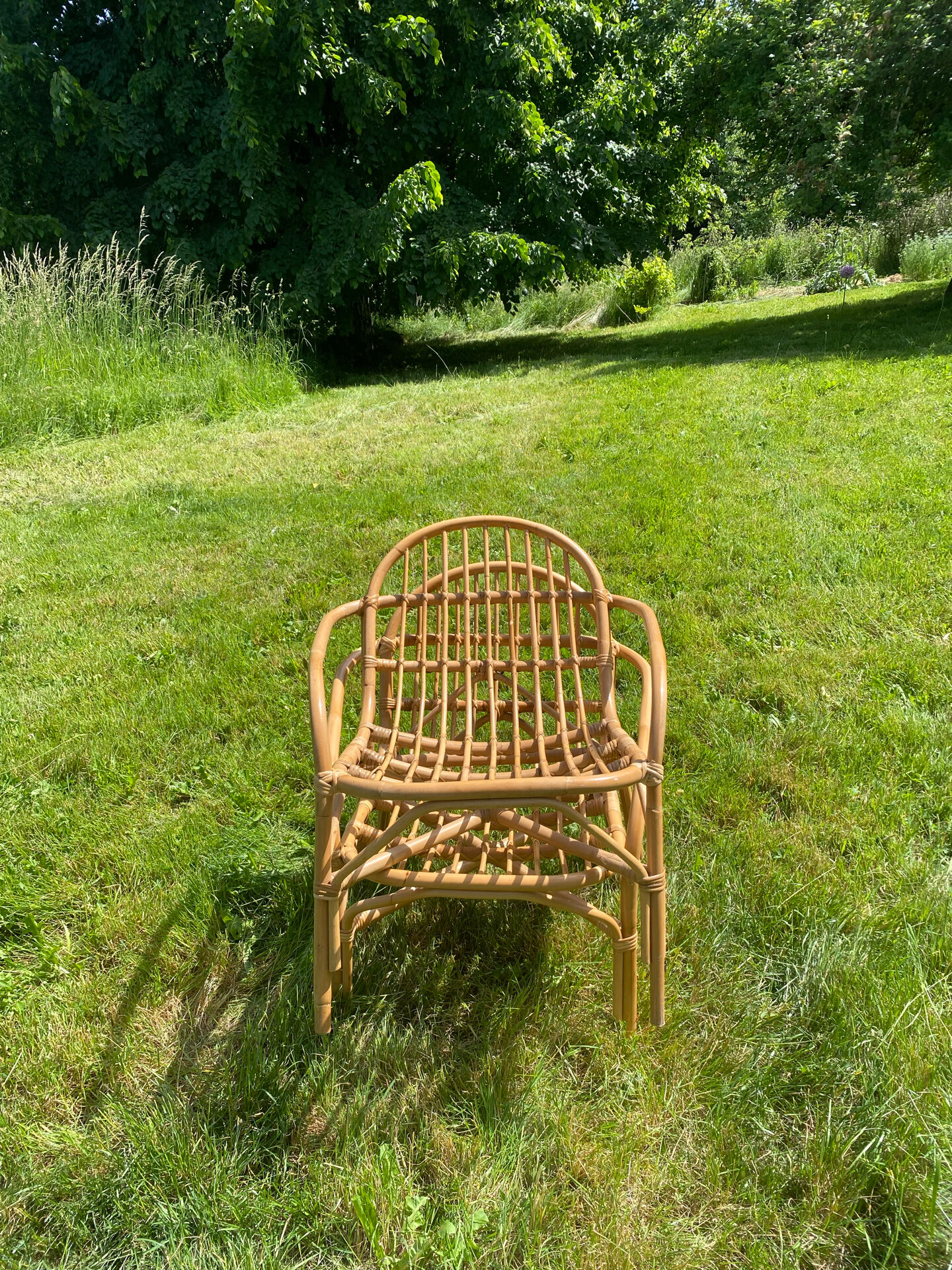 Pair of rattan armchairs