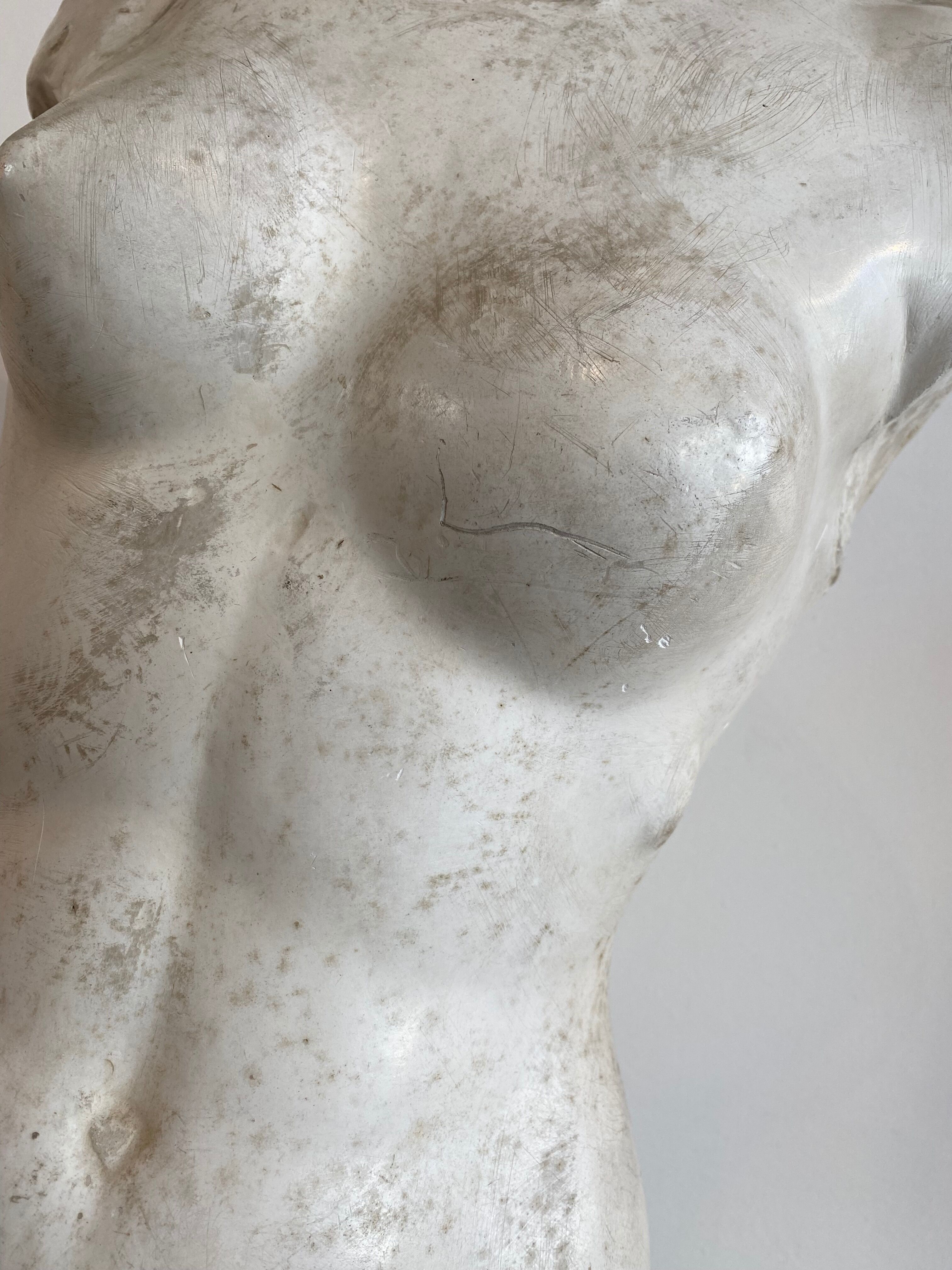 Bust in platre Atelier du Louvre