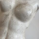 Bust in platre Atelier du Louvre