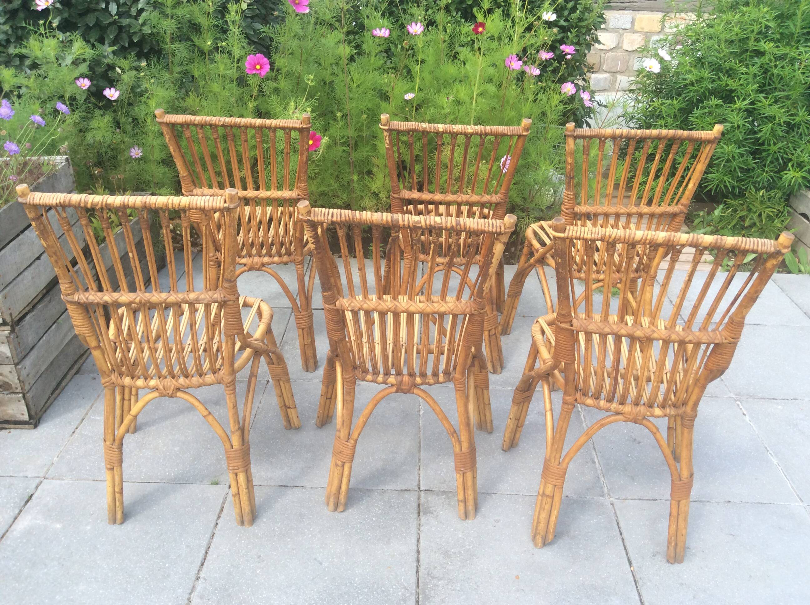 6 rattan chairs