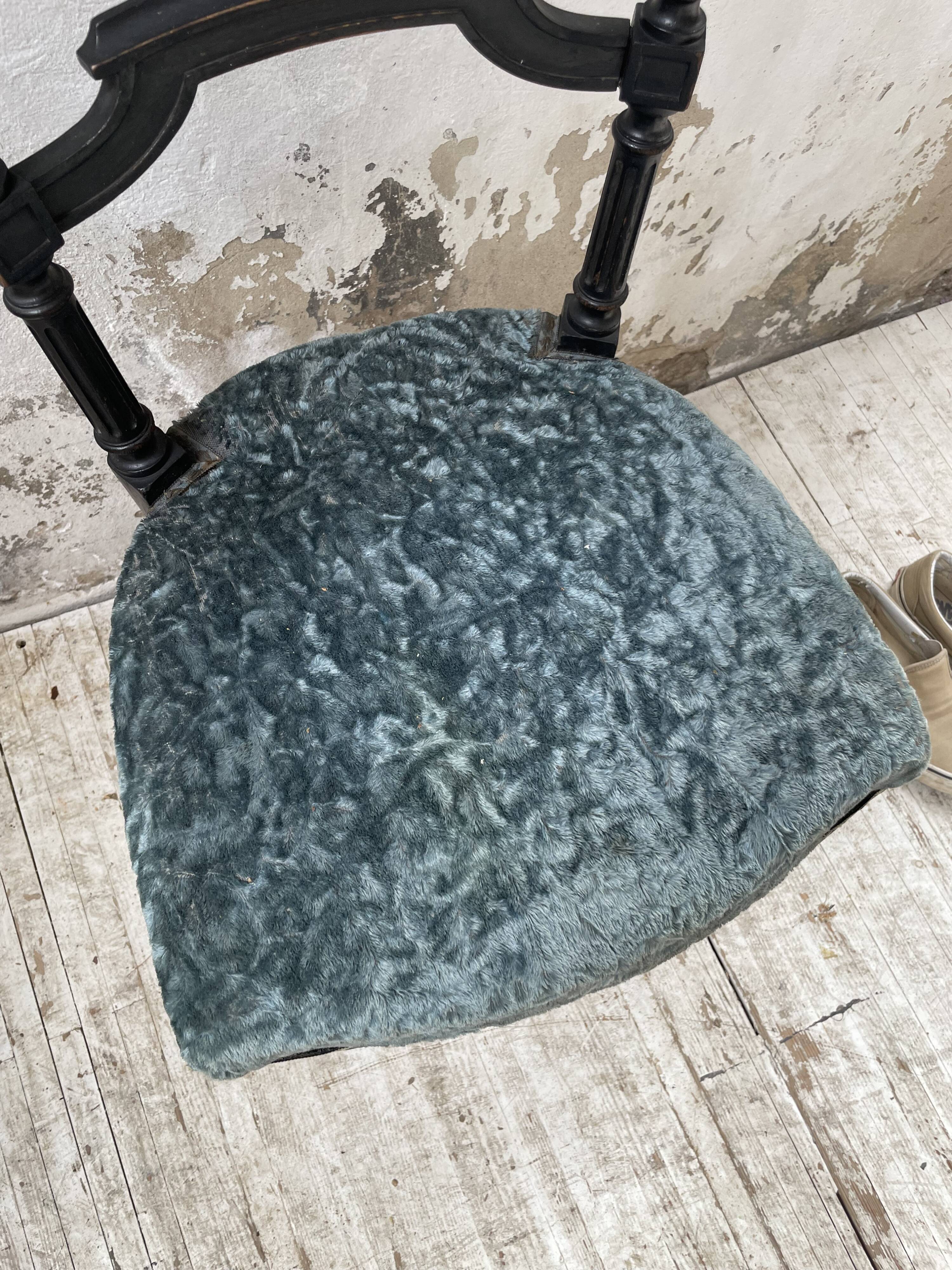 Chaise Napoléon 3 velours bleu