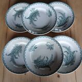 6 old Terre de fer flat plates