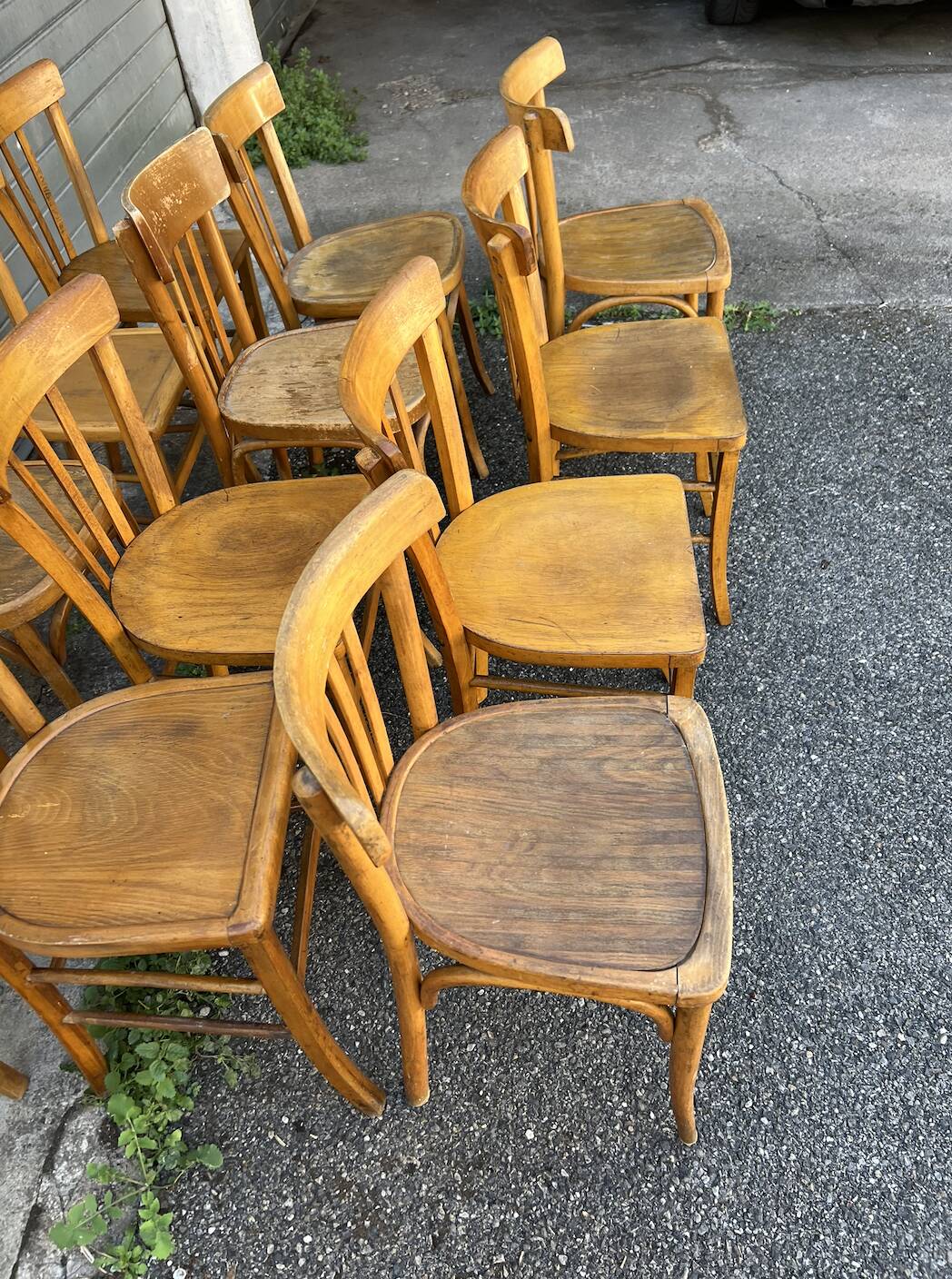 (Lot) 12 bistro chairs (light oak)