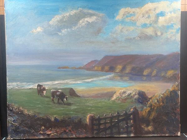 Huile sur toile,  pré-salé Baie de Somme, Vache, boeuf, signé Rogé à identifier
