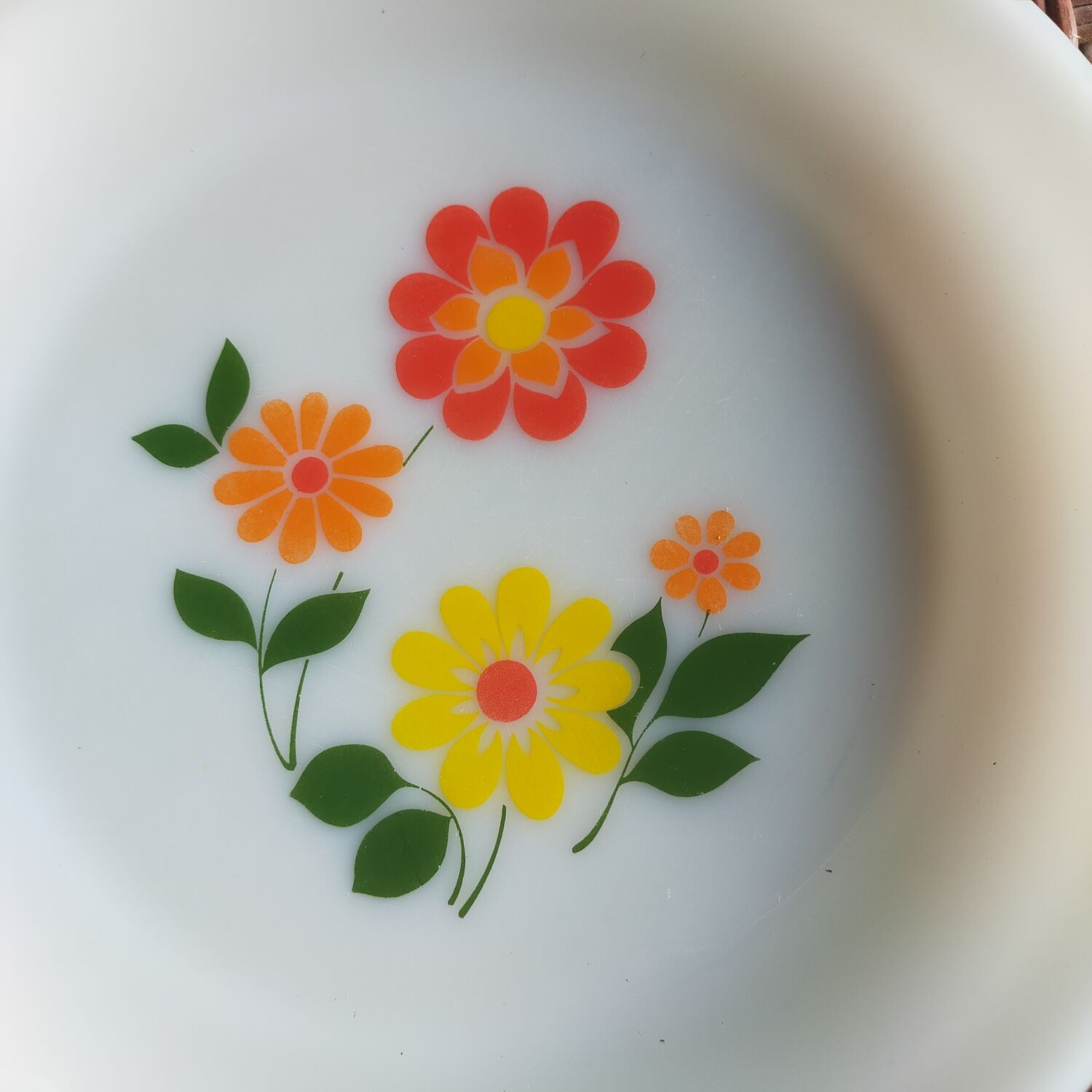 Arcopal seventies plates