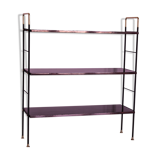 Etager, 1950s Italian bookcase in rosewood, brass and iron