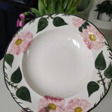 Wild Rose Villeroy & Boch soup dish and plate