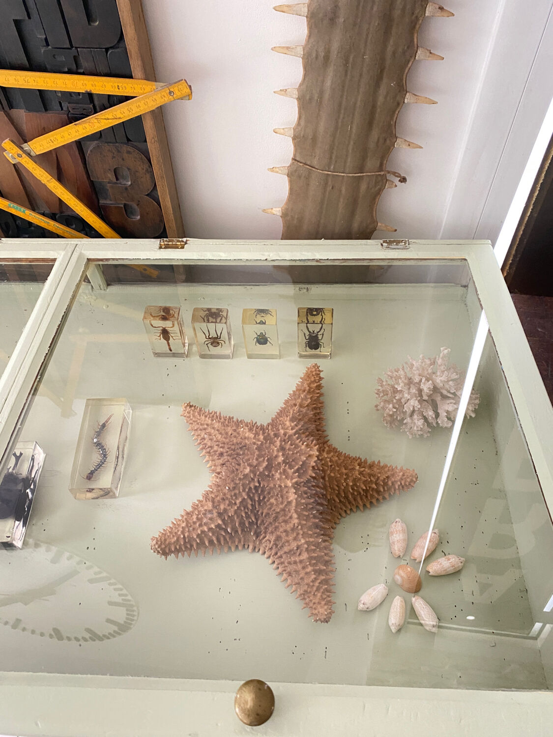 Display case with double glass