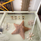 Display case with double glass