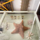 Display case with double glass