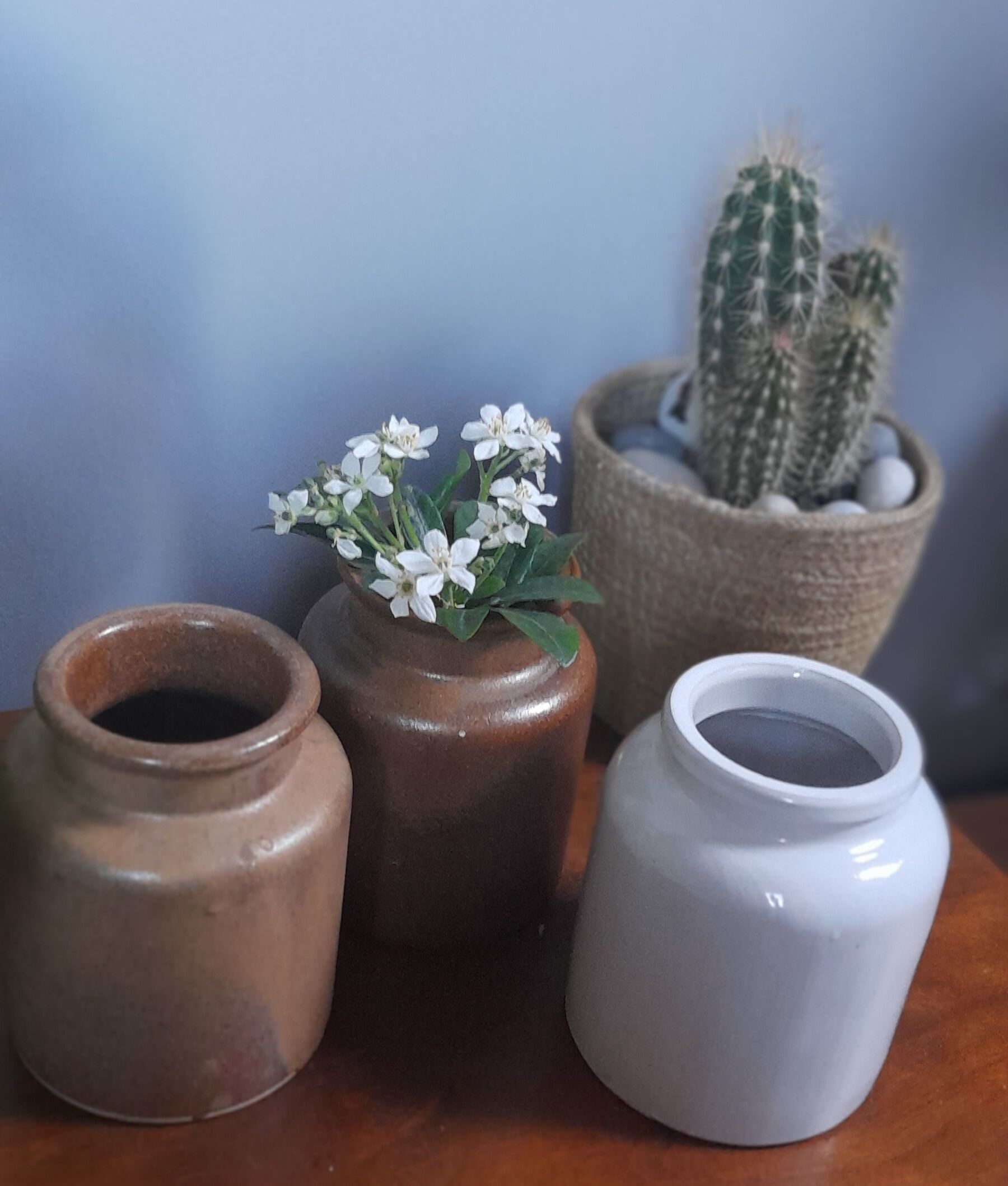 Ensemble de 3 anciens pots à moutarde/condiments, en céramique / grés