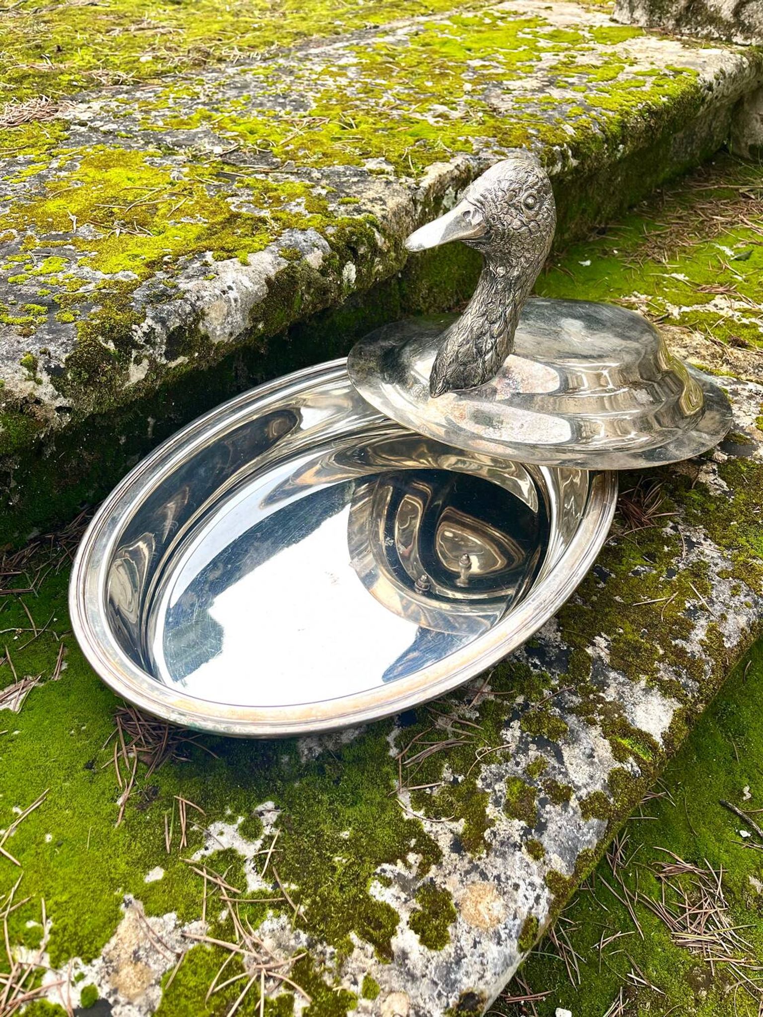 Duck Serving Platter – Vintage French EPNS Silver Plated Game Dish