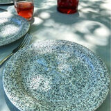 Lot 10 speckled plates Quadriflogio
