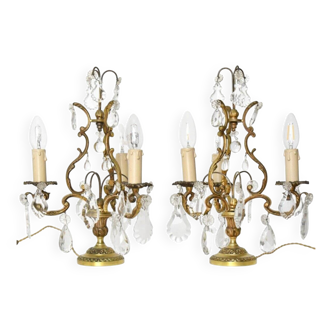Pair of gilded bronze candelabra with three arms of light