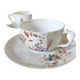 Cups and saucers