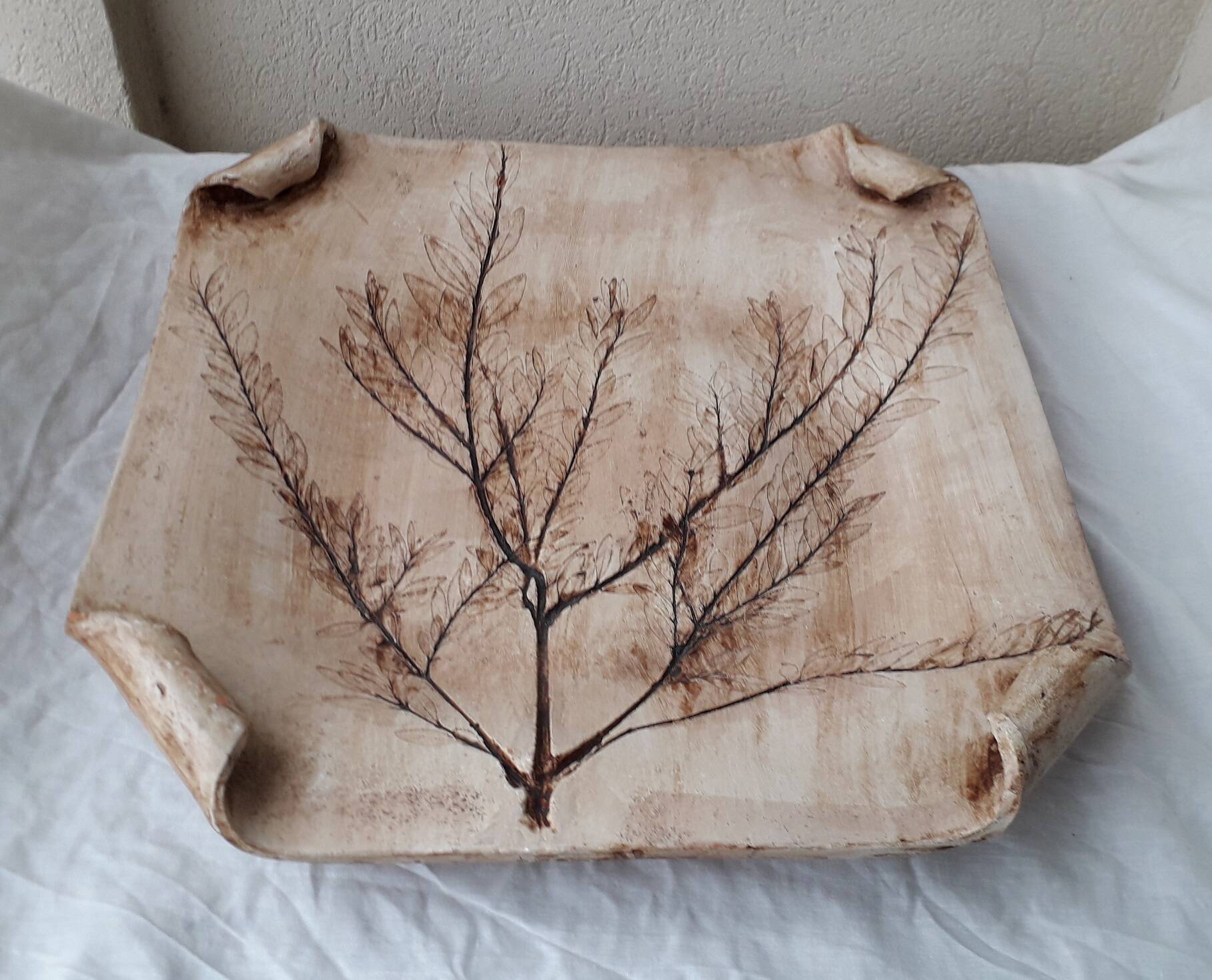 Herbarium cut dish