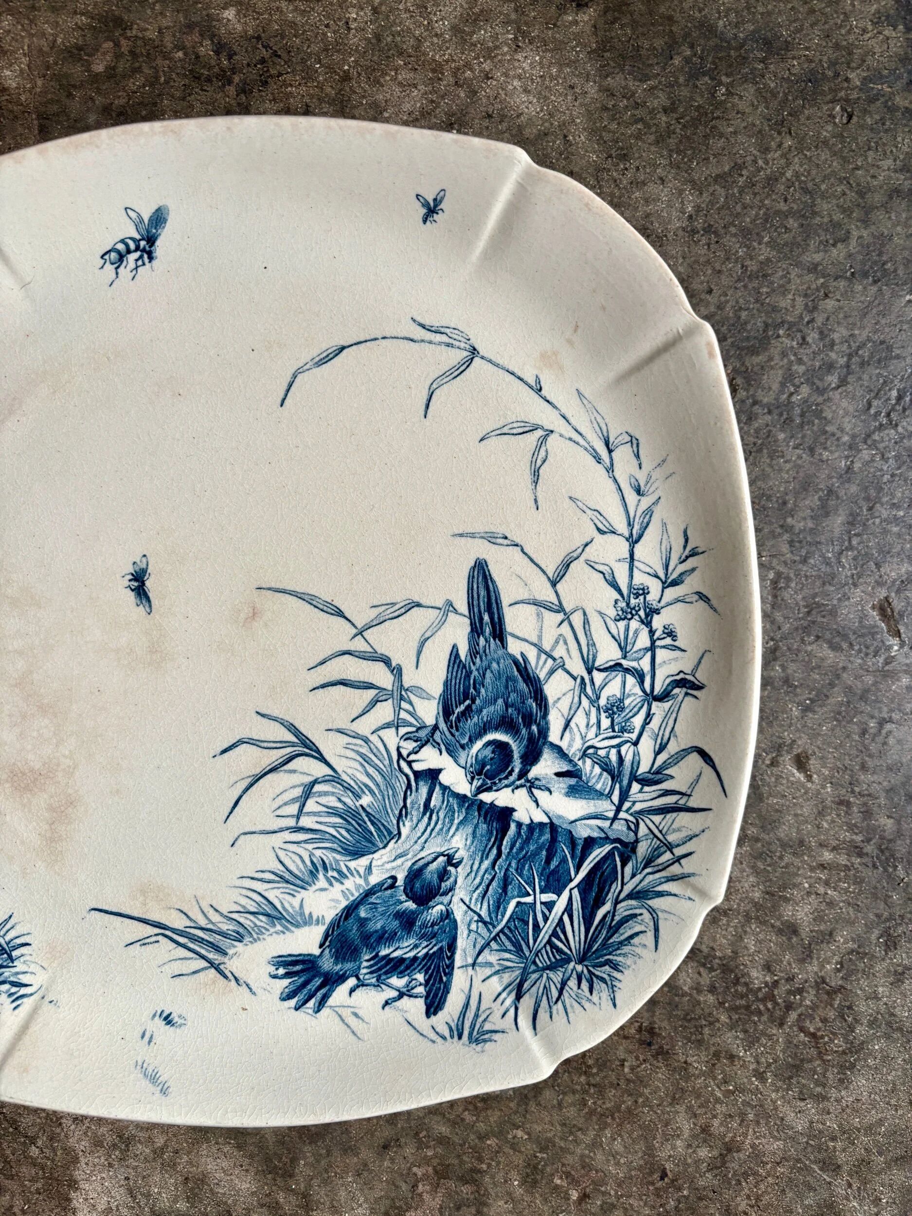 Square flat dish on pedestal Gien in blue ironstone, service "Birds" around 1870.