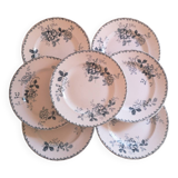 Lot de 7 assiettes plates.