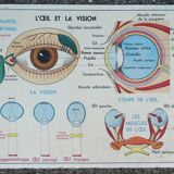 Old MDI school poster, eye-vision & ear-nose