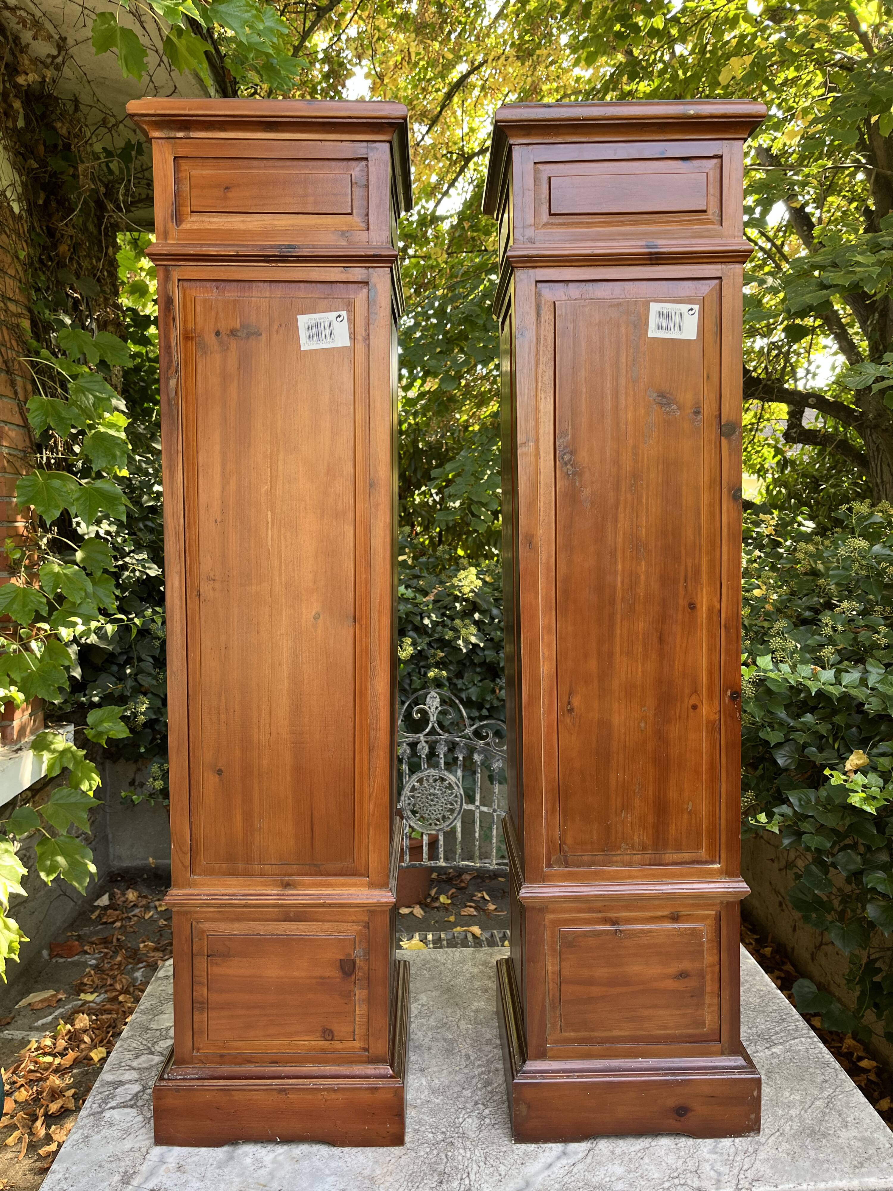 Pair of exotic wood storage columns - China