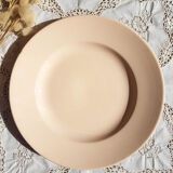 Plat rose en faïence 1900 pexonne