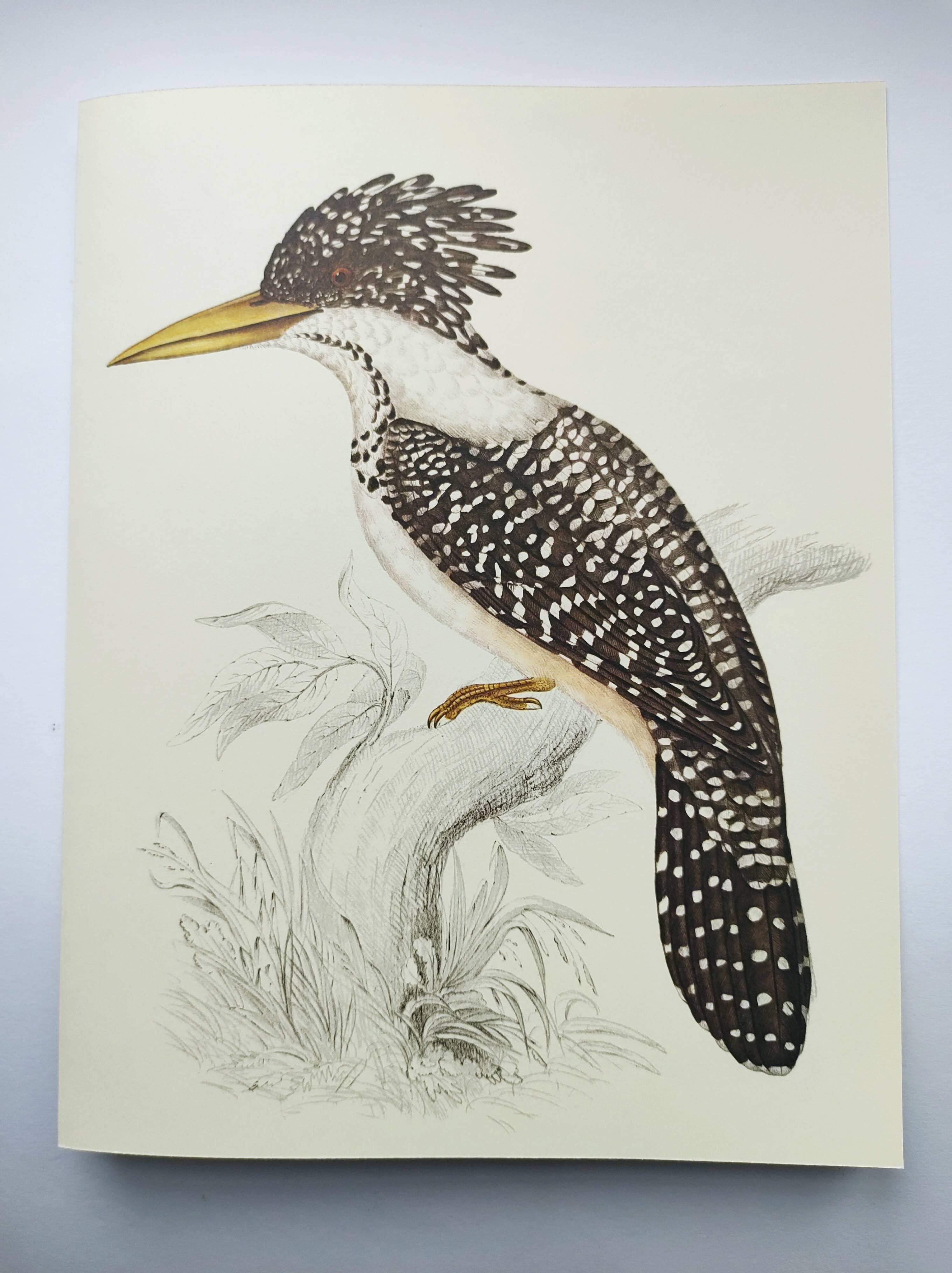 Antique plate - Kingfisher - bird and nature, Vintage 1970