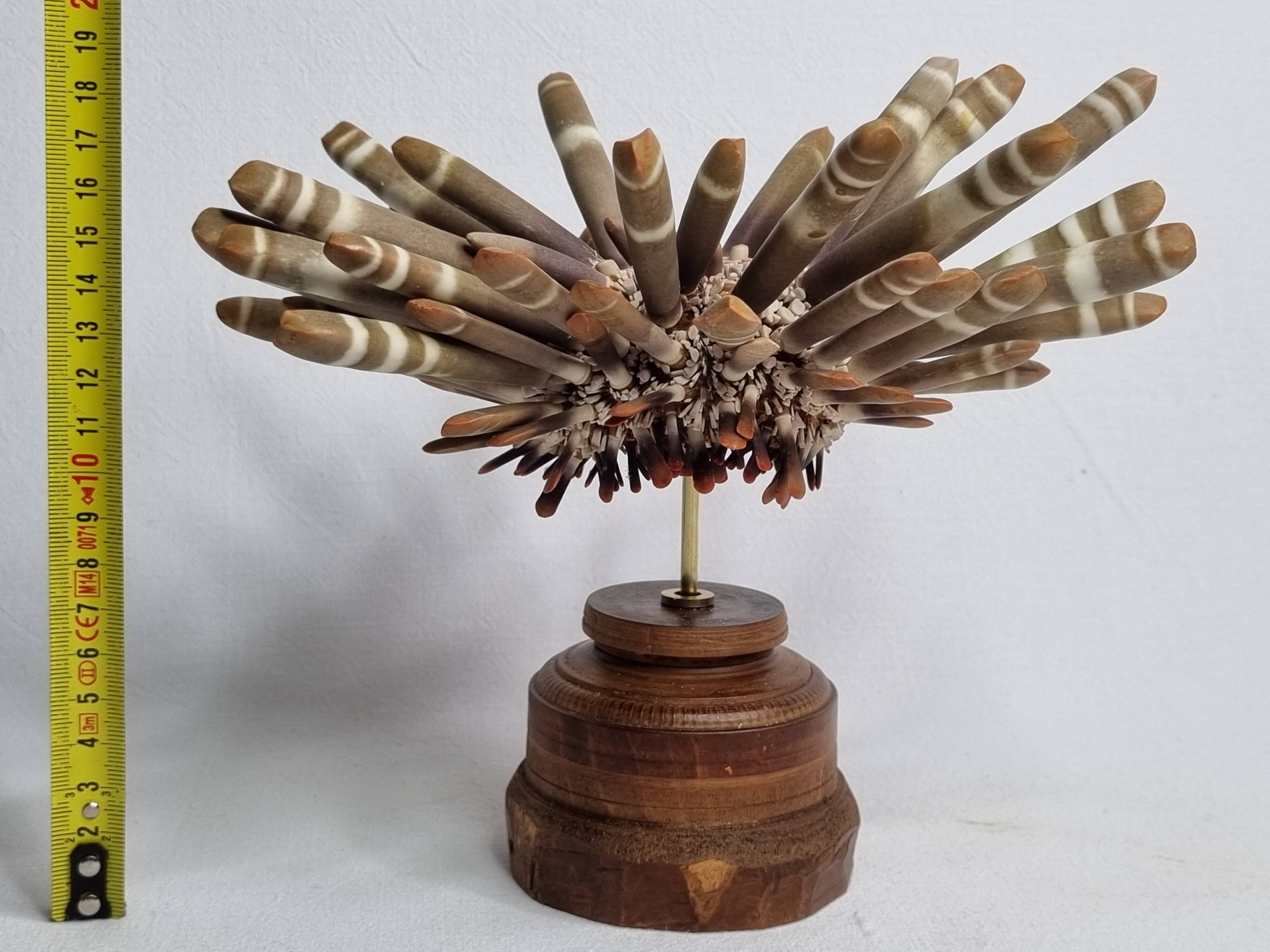 Antique sea urchin pencil on turned wooden base, 22 cm