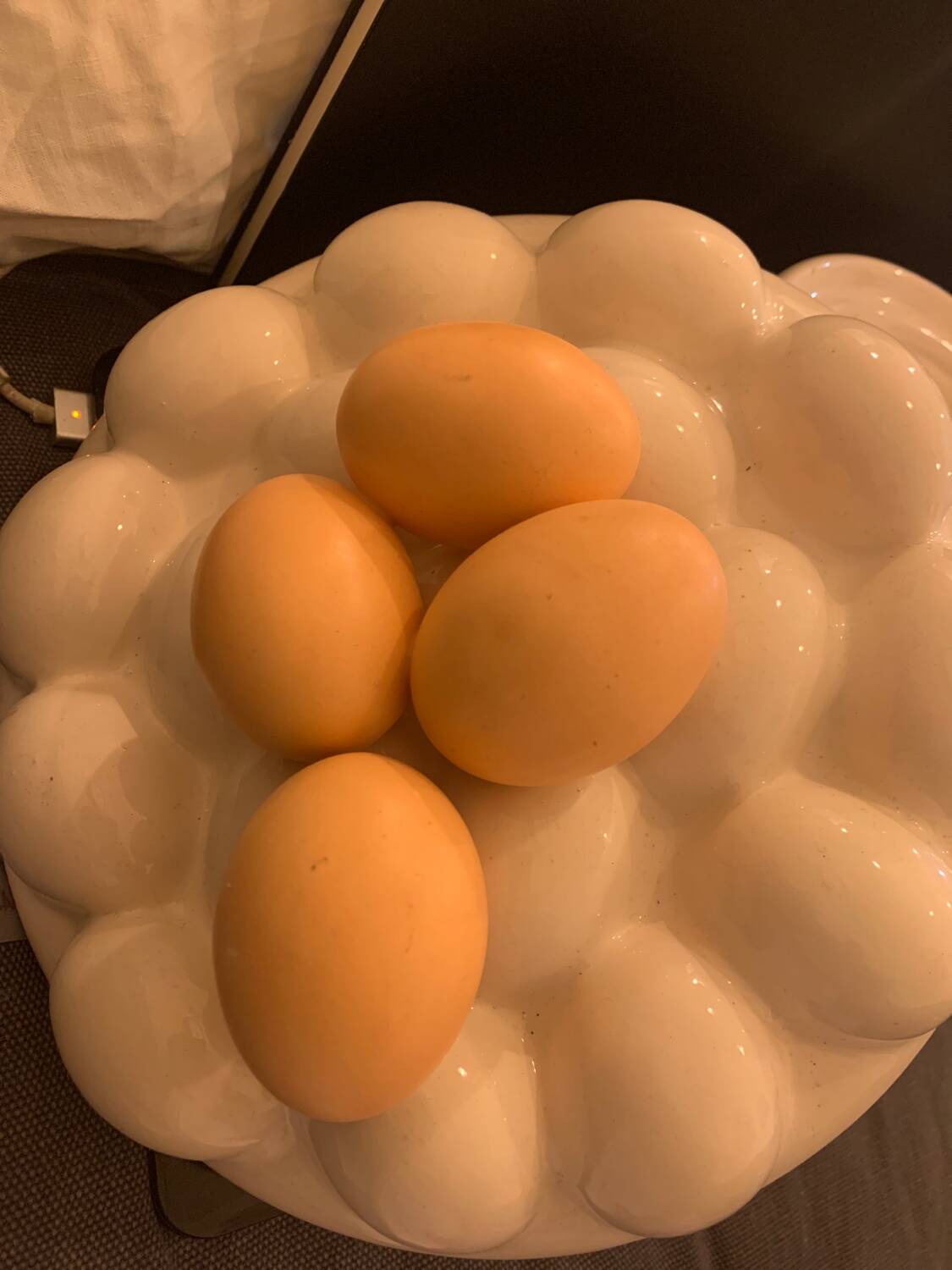 Trompe i'oeil ceramic slip egg box