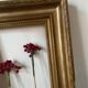 Old gilded wood frame.