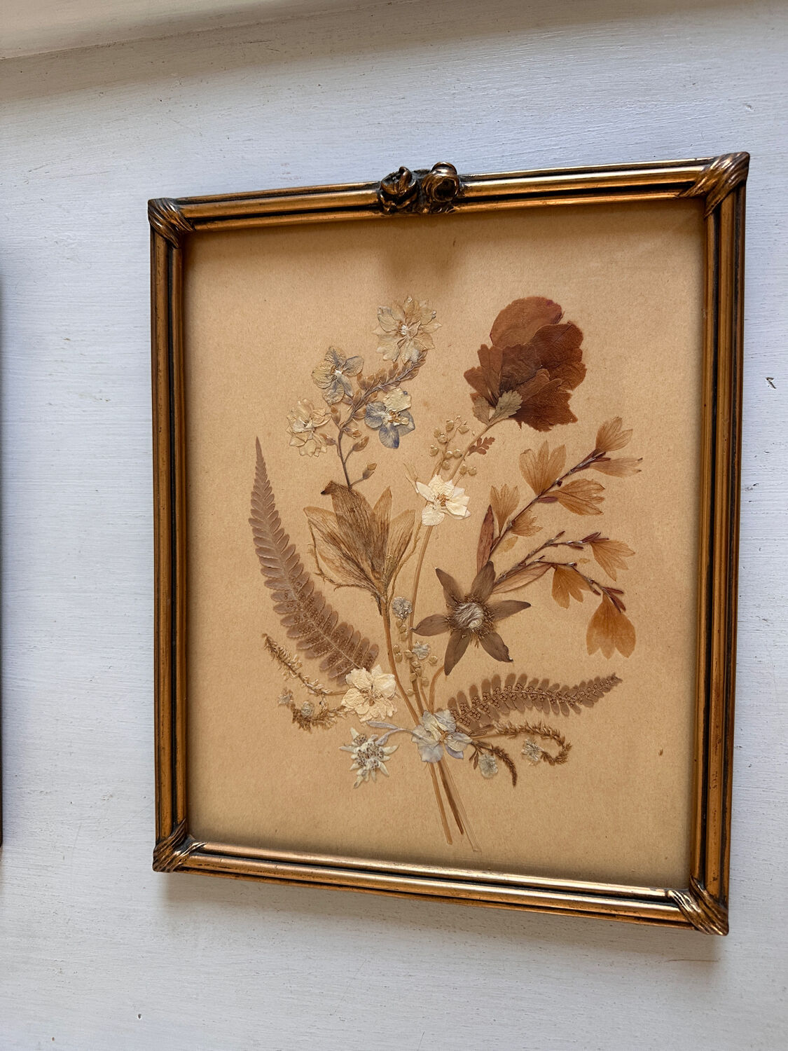 Old frames with dried flowers
