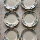 6 Lutèce Longchamp flat plates old iron earth