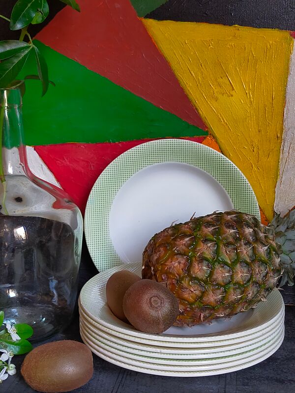 Huit assiettes faïence de salins années 50