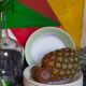 Eight earthenware plates from salins 50s