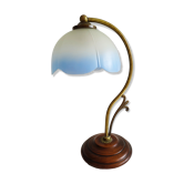 Swan col booster lamp