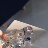 Daum cup