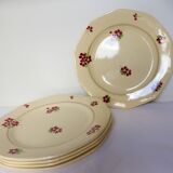 5 flat plates from the Moulin des Loups and Hamage model Paul 220539