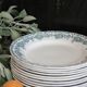 11 flat plates in iron earth "Argenton" Saint Amand early twentieth century