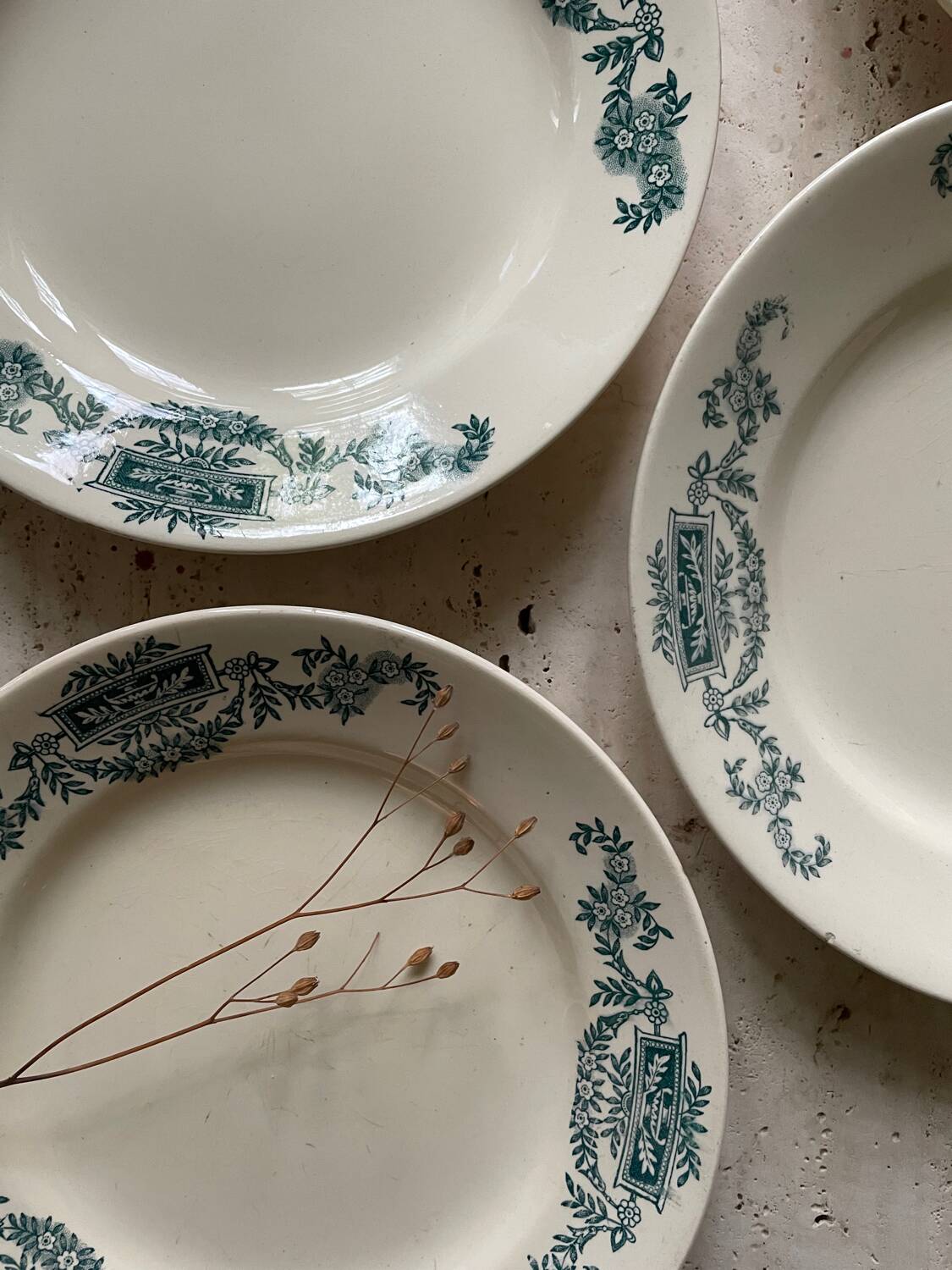 6 Lutèce Longchamp flat plates old iron earth