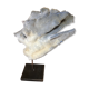 Coral on plinth