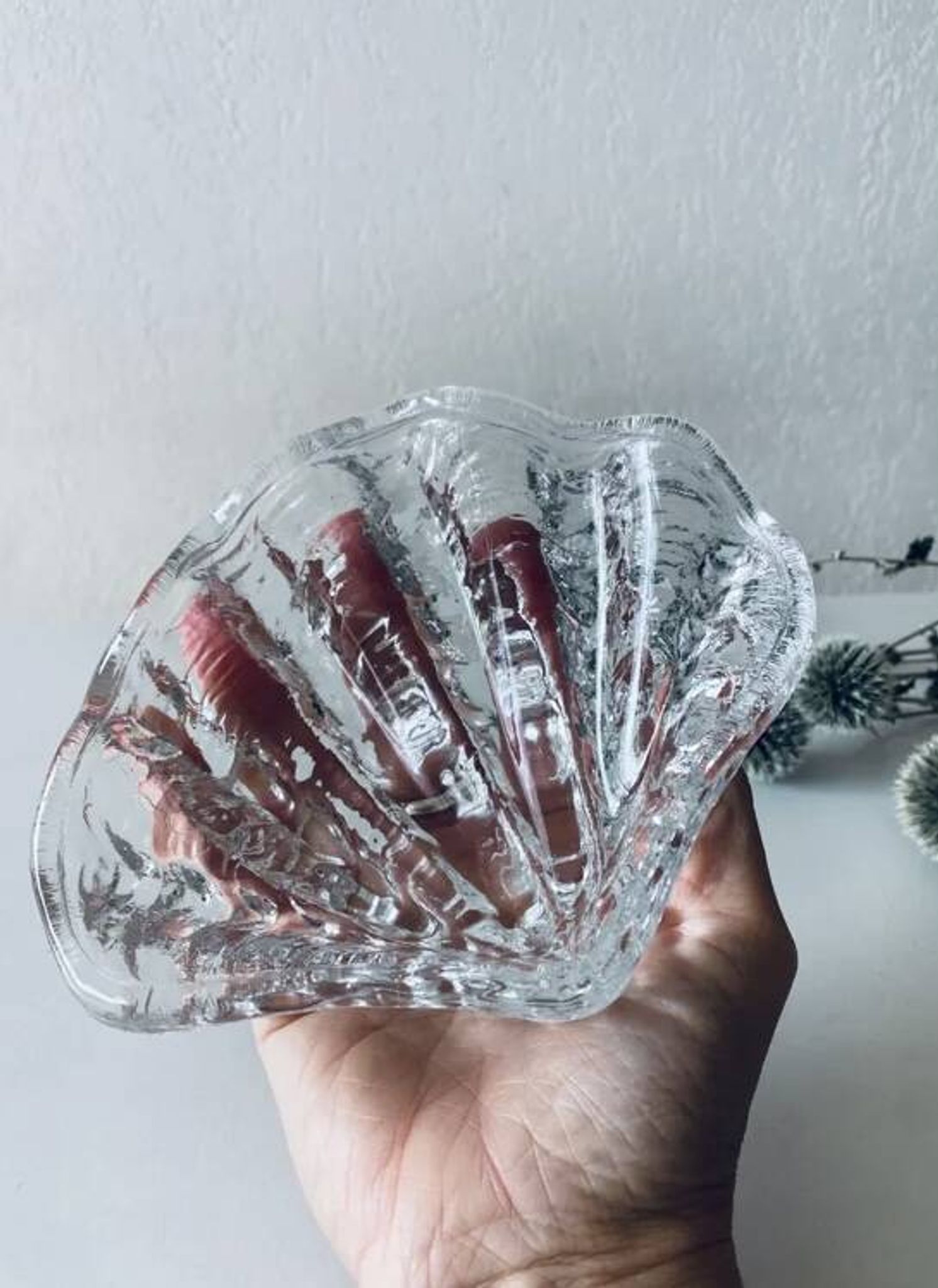 Coquillage bénitier en verre