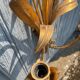 Pair of wall sconces in the shape of a wheat sheaf with two lights.