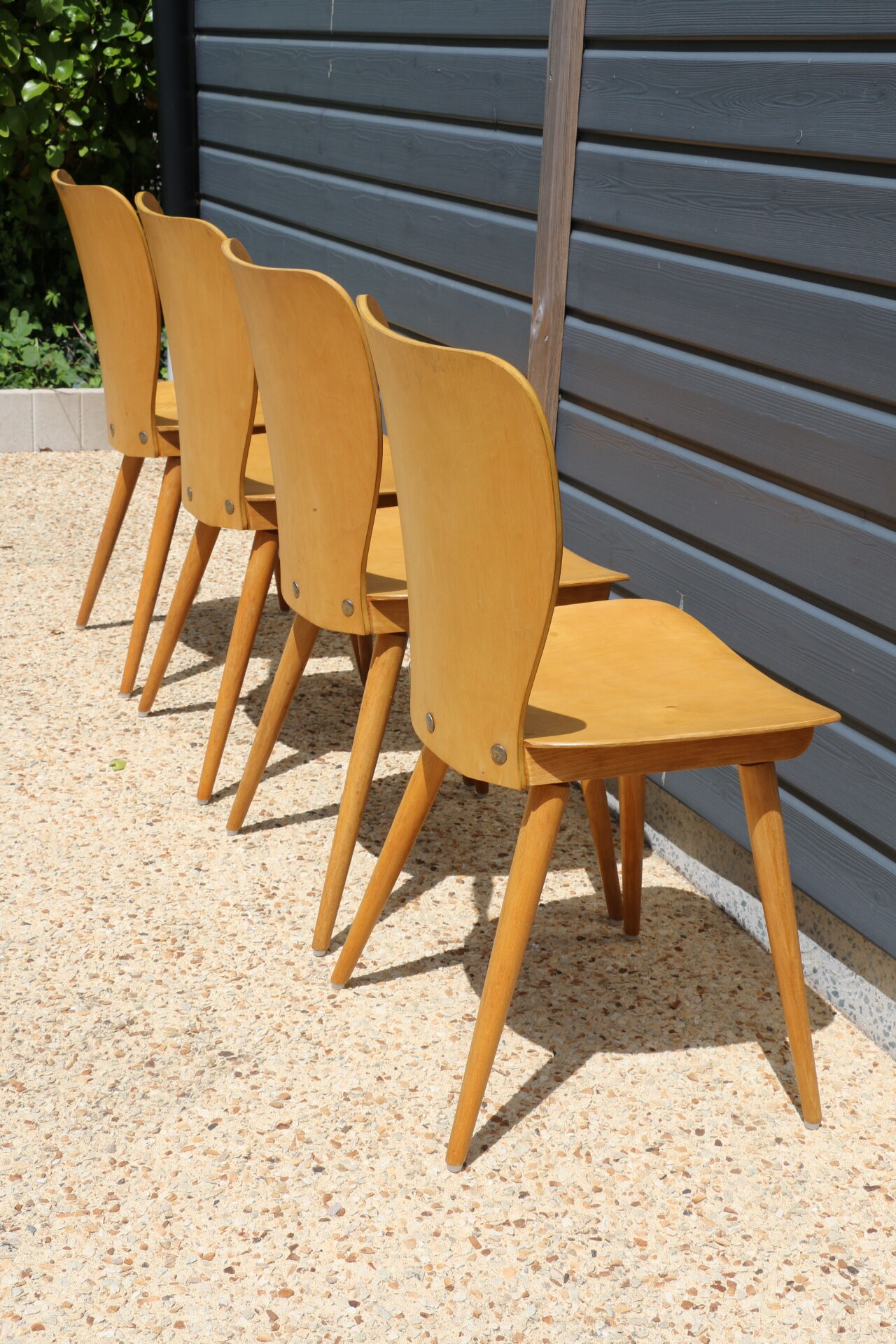 4 BAUMANN chairs 800G Max Bill 1955